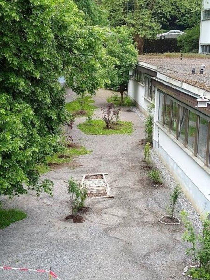 Gestaltung Schulgarten – Bild 3
