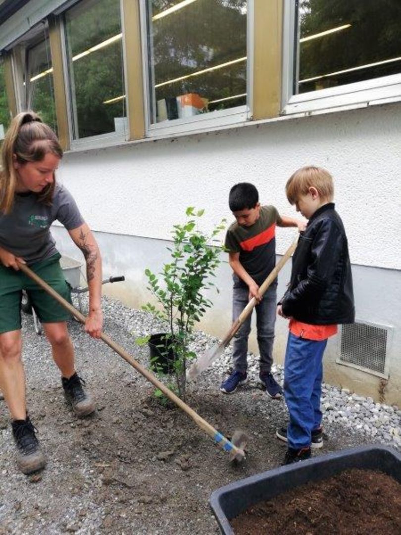 Gestaltung Schulgarten – Bild 1