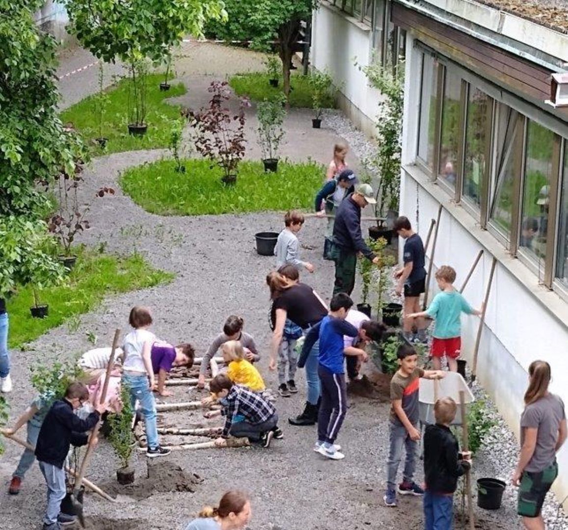 Gestaltung Schulgarten – Bild 7