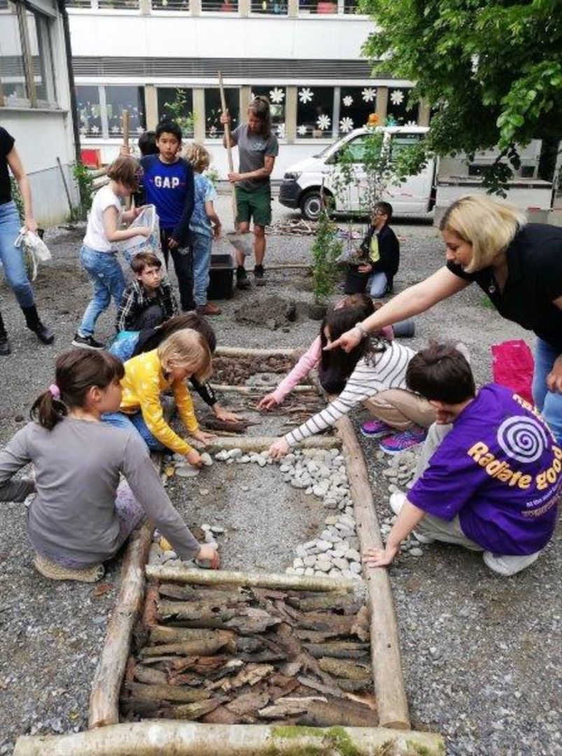Gestaltung Schulgarten – Bild 6