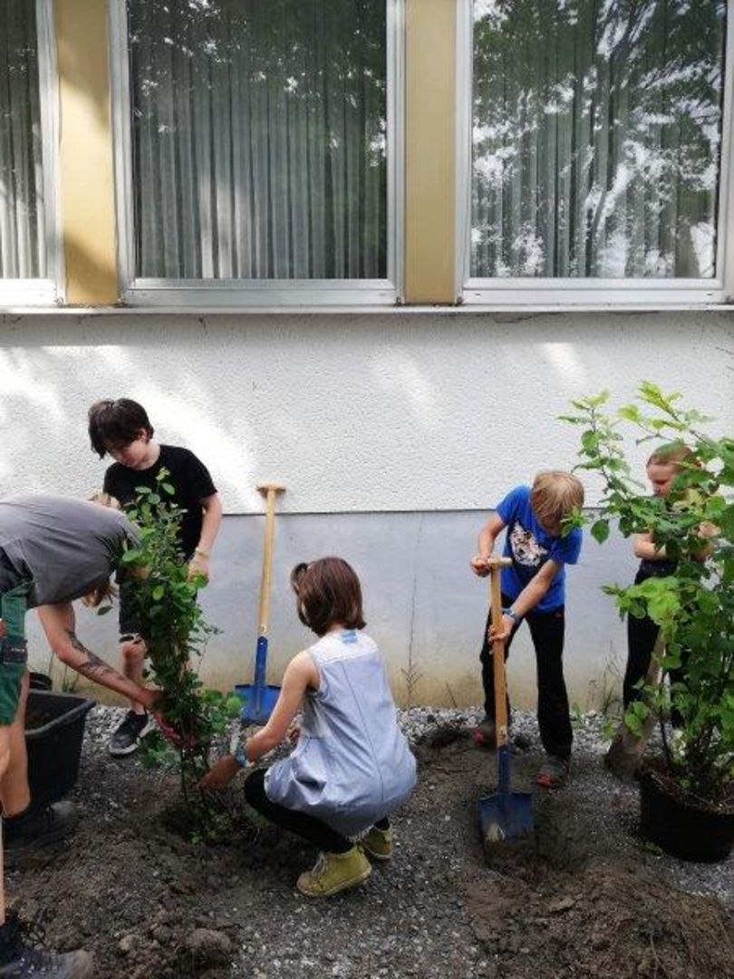 Gestaltung Schulgarten – Bild 8