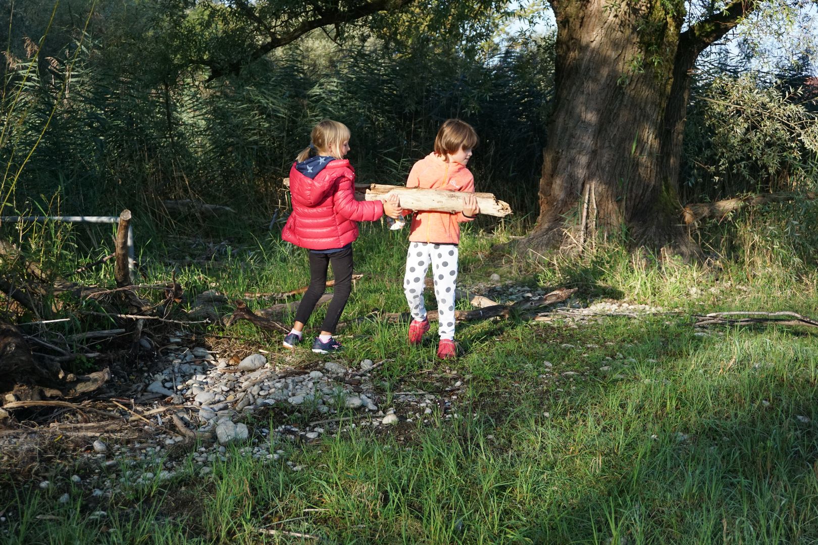 Ausflüge zum See 1c – Bild 21