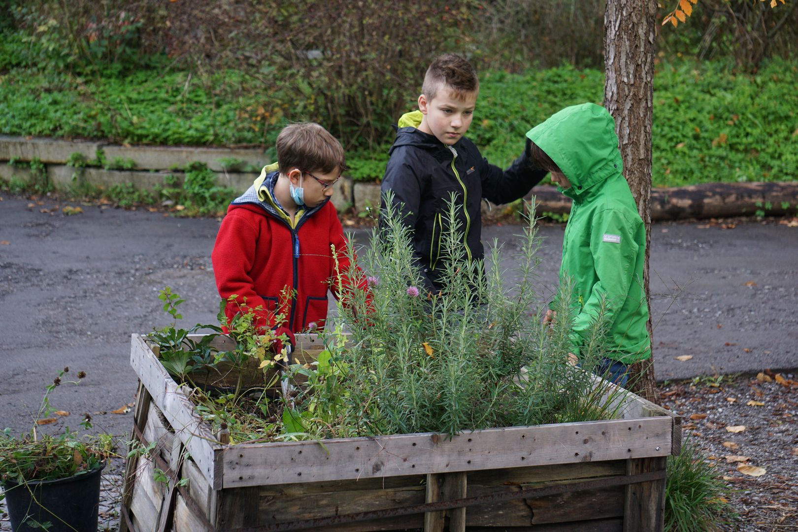 Gartenarbeit 1c – Bild 5