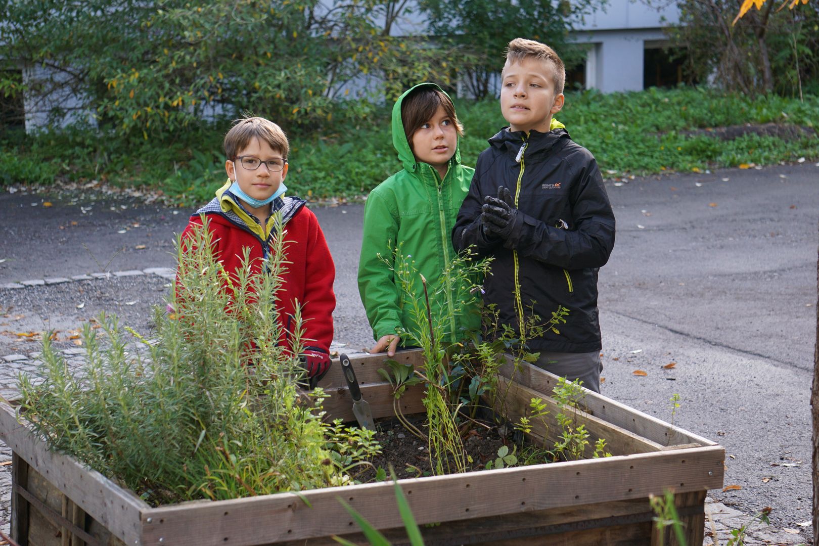 Gartenarbeit 1c – Bild 1