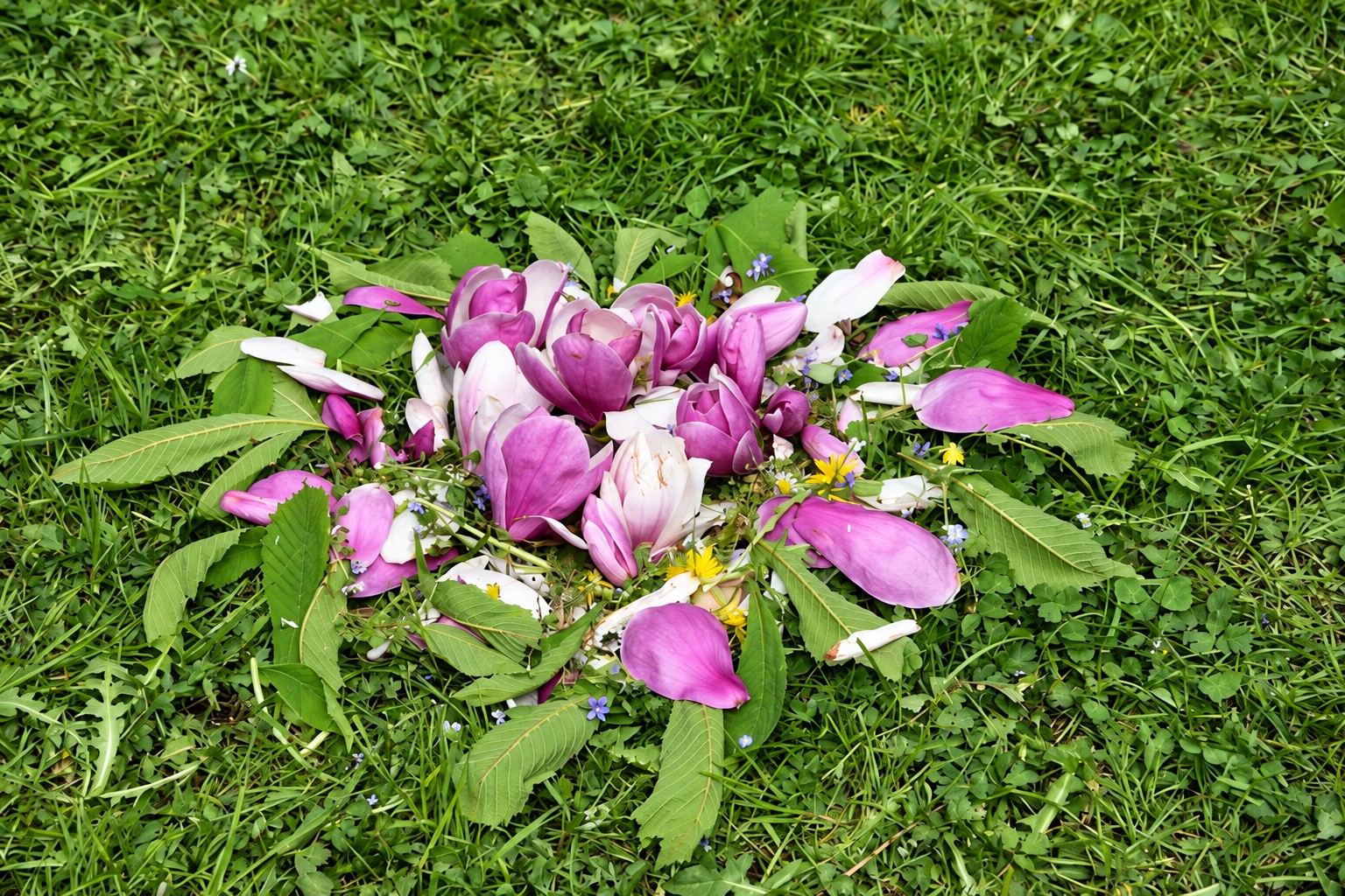 Blüten und Blätter – kreativ mit Naturmaterialien